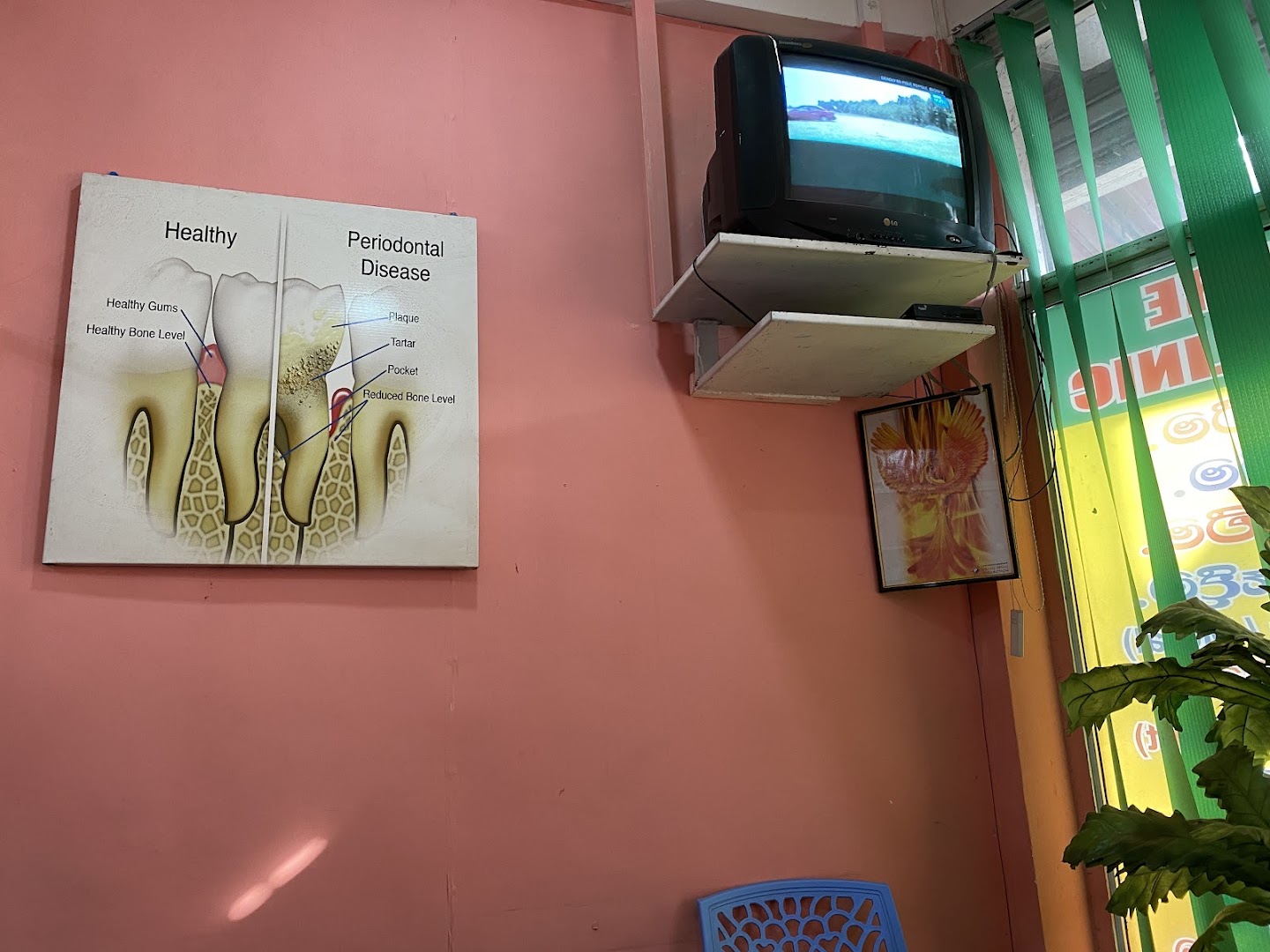 Pink clinic interior with a dental health diagram and green window blinds
